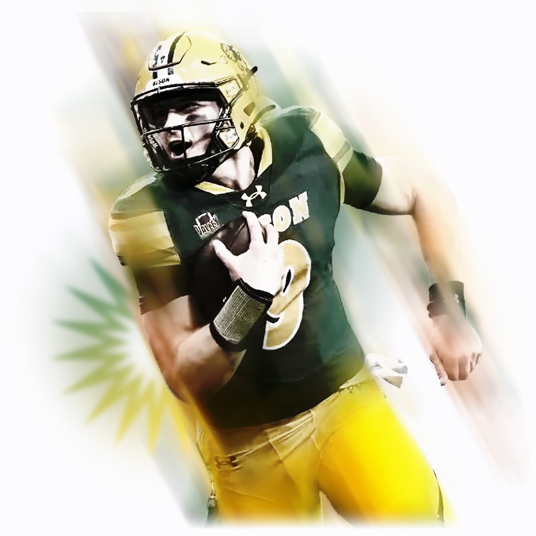Payton Stylized Image