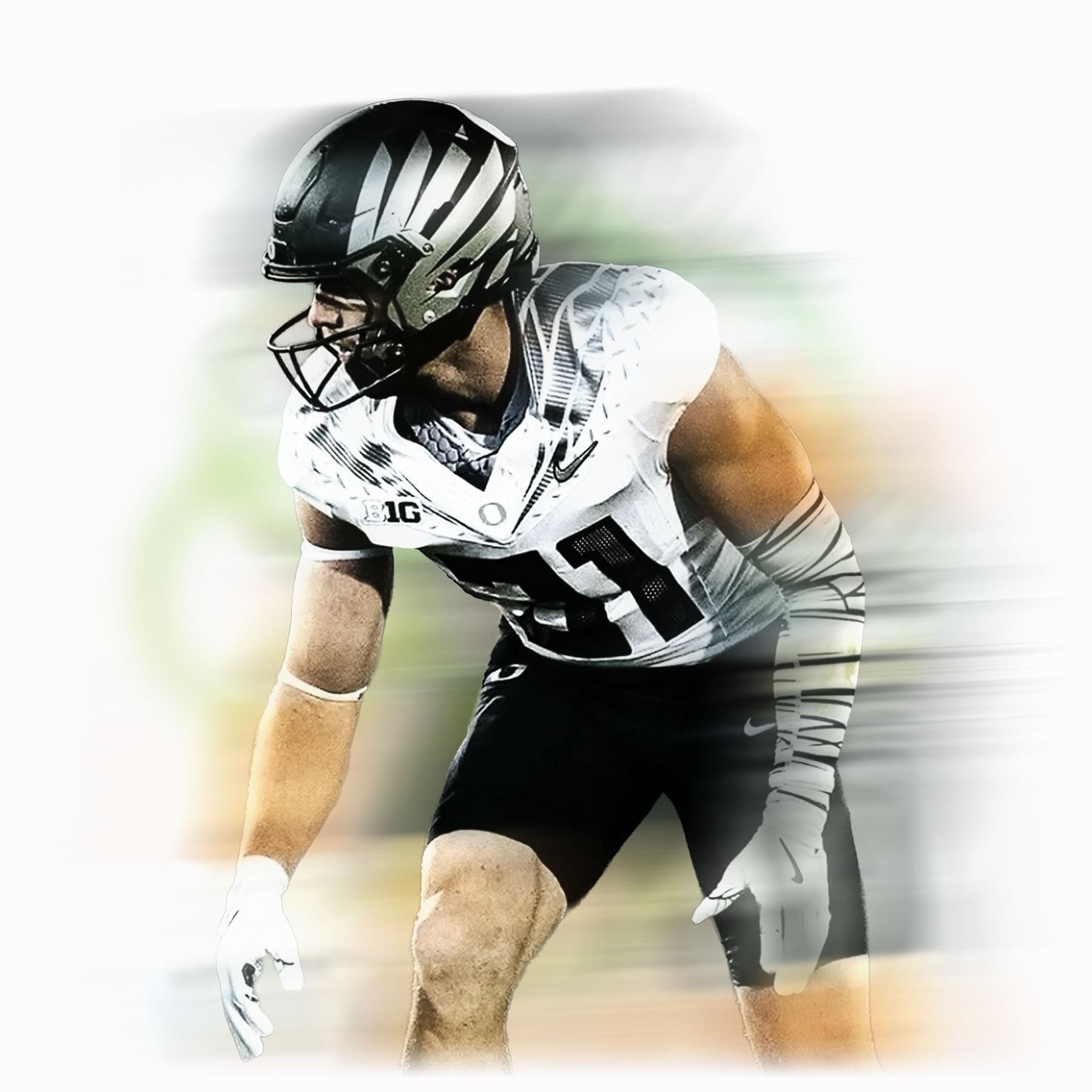 Thieneman Stylized Image