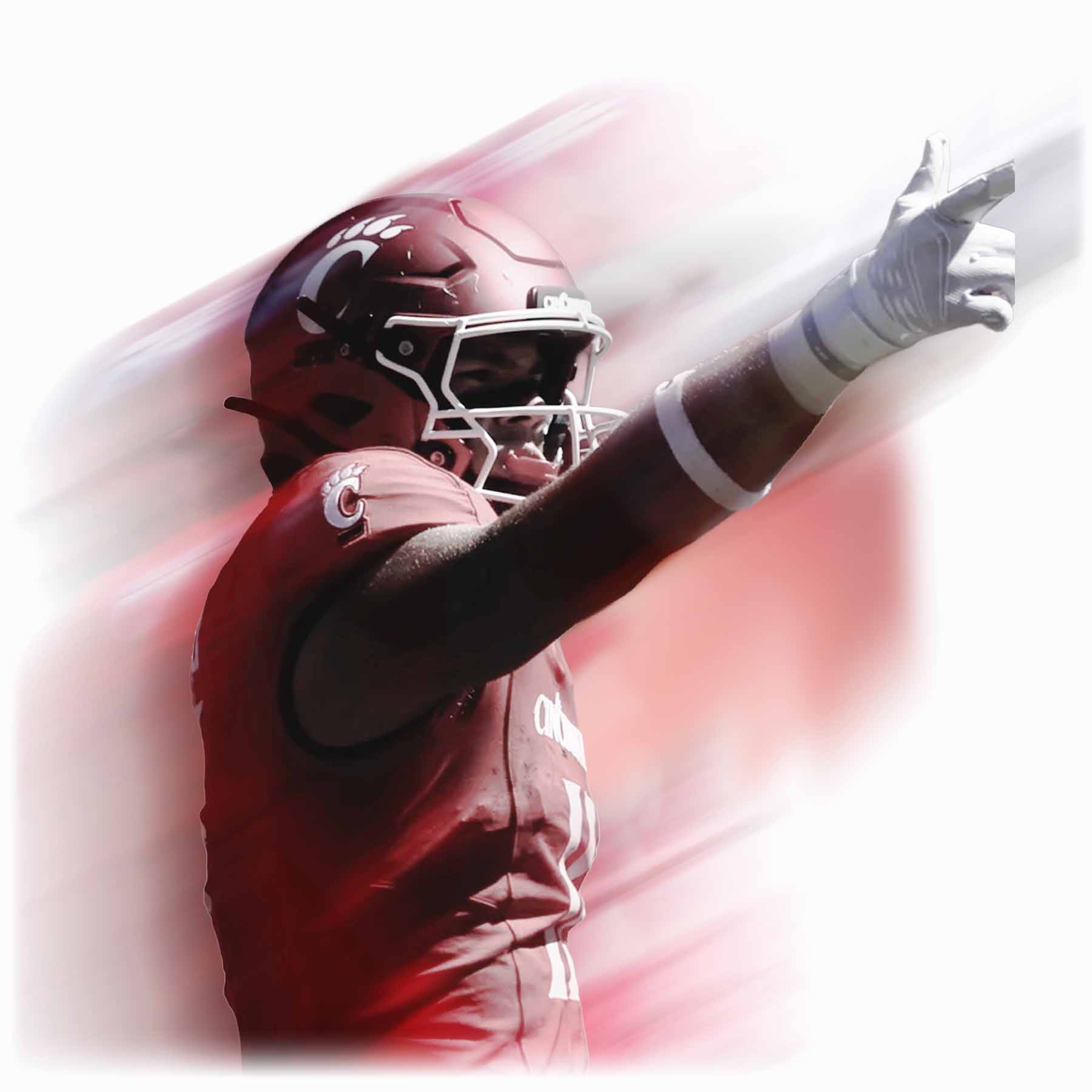 Royer Stylized Image