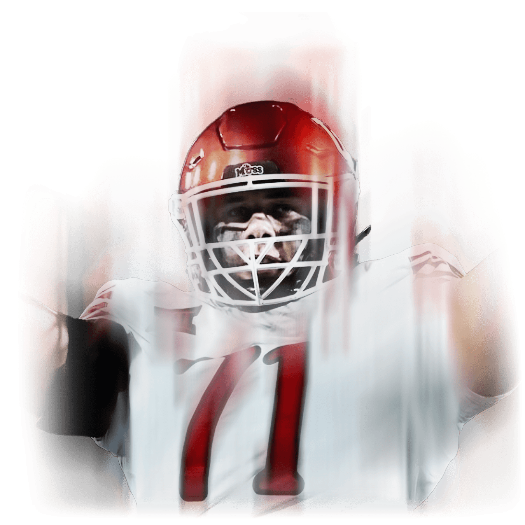 Lomu Stylized Image