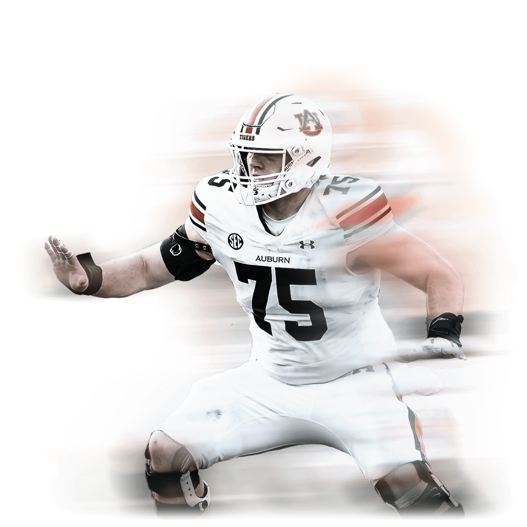 Lew Stylized Image